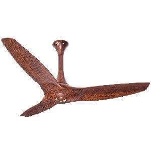 Wooden Ceiling Fan