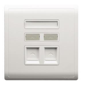 Schneider 1 gang telephone + RJ45 - Cat 5E - keystone on shuttered wallplate - DELIGHT OptoElectronics Pte. Ltd