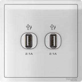 Schneider 1x2.1A, 2x2.1A USB Charge - DELIGHT OptoElectronics Pte. Ltd