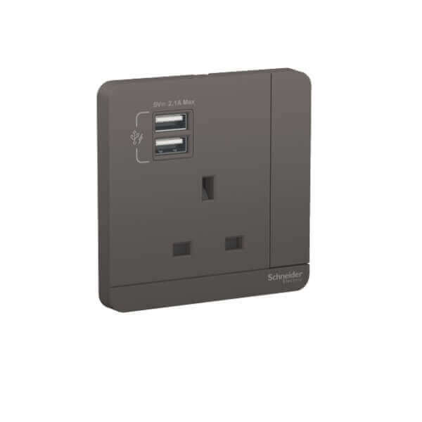 Schneider AvatarOn, 3P, 13A, 2 USB charger + switched socket - DELIGHT OptoElectronics Pte. Ltd