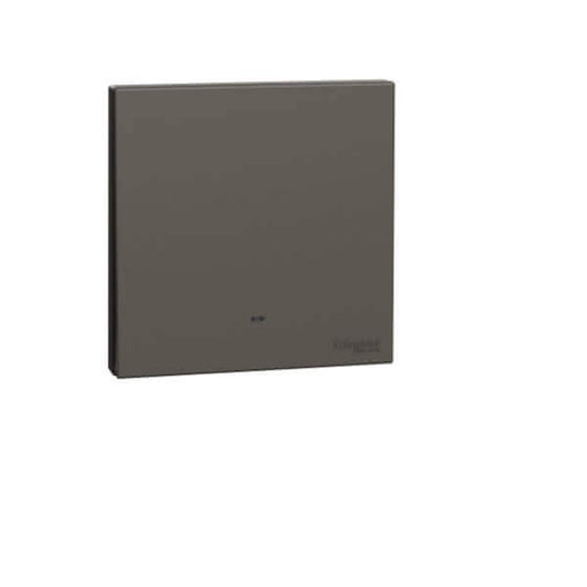 Schneider AvatarOn C, 16AX 250V 2 way, Switch with Fluorescent Locator - DELIGHT OptoElectronics Pte. Ltd