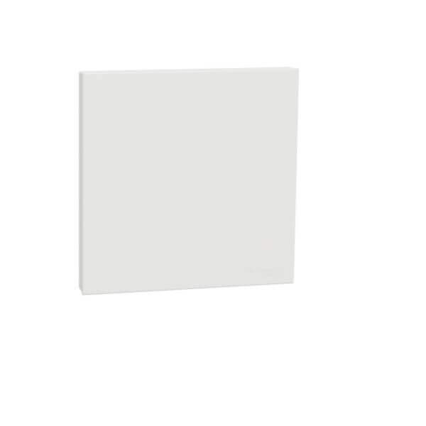 Schneider AvatarOn C, Blank Plate, - DELIGHT OptoElectronics Pte. Ltd