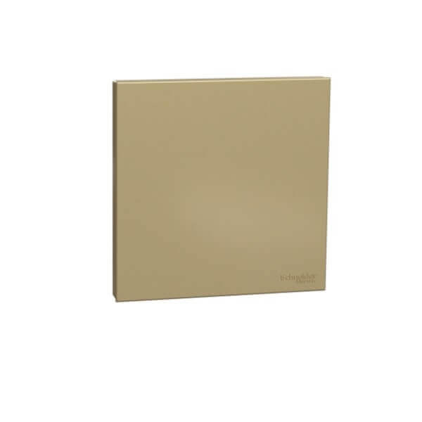 Schneider AvatarOn C, Blank Plate, - DELIGHT OptoElectronics Pte. Ltd